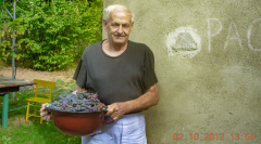 Berem-grozdije-2-okt-2012